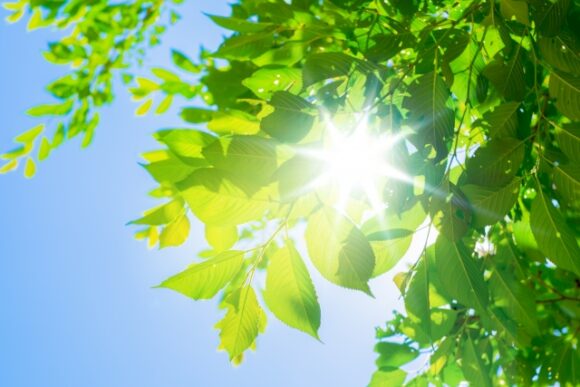 ミヤケンソーラー 栃木県 日照時間 太陽光
