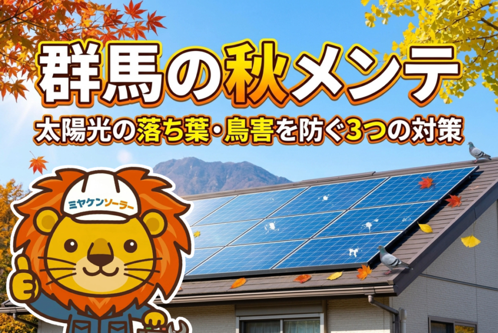 群馬の秋メンテ｜太陽光の落ち葉・鳥害を防ぐ3つの対策